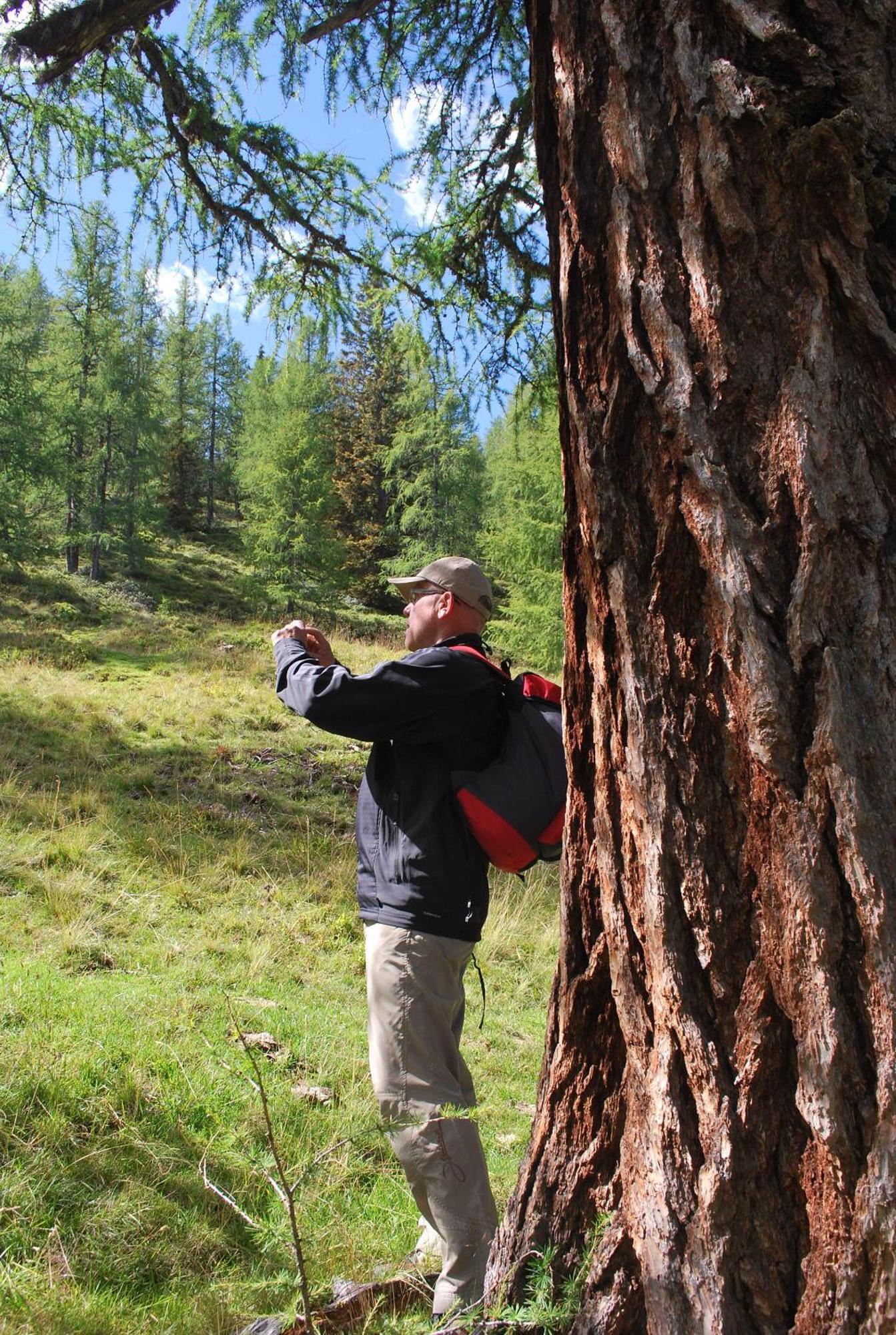 Apartmán Biohof Seidl Bad Kleinkirchheim Exteriér fotografie