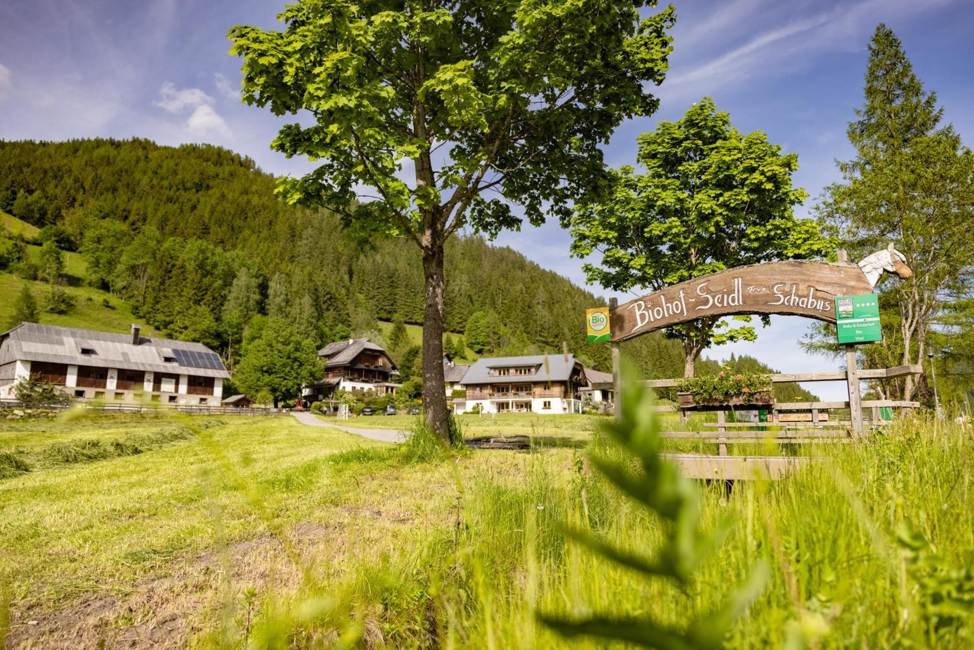 Apartmán Biohof Seidl Bad Kleinkirchheim Exteriér fotografie