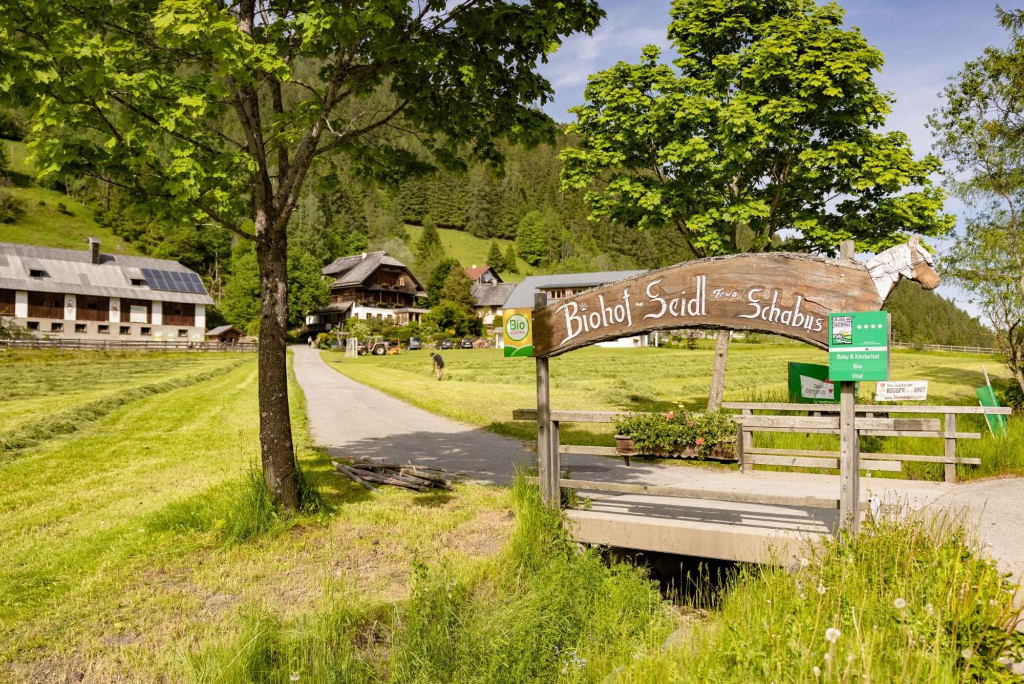 Apartmán Biohof Seidl Bad Kleinkirchheim Exteriér fotografie