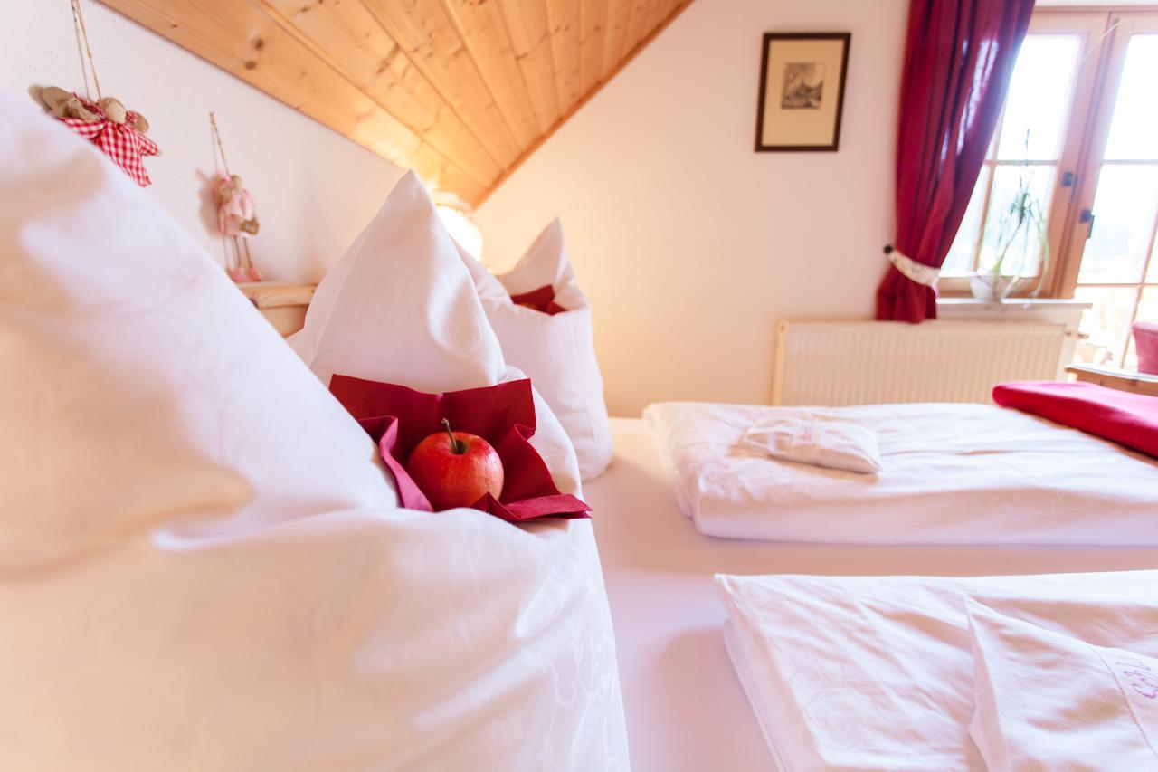 Apartmán Biohof Seidl Bad Kleinkirchheim Exteriér fotografie